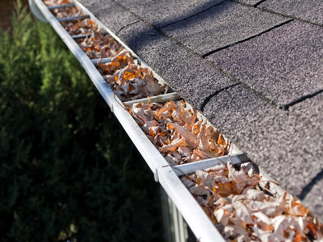 Roofing Inspection Dallas